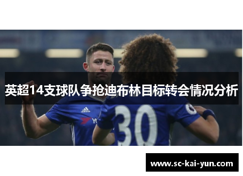 英超14支球队争抢迪布林目标转会情况分析