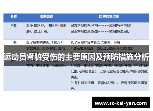 运动员肾脏受伤的主要原因及预防措施分析 运动员肾脏受伤的主要原因及预防措施分析
