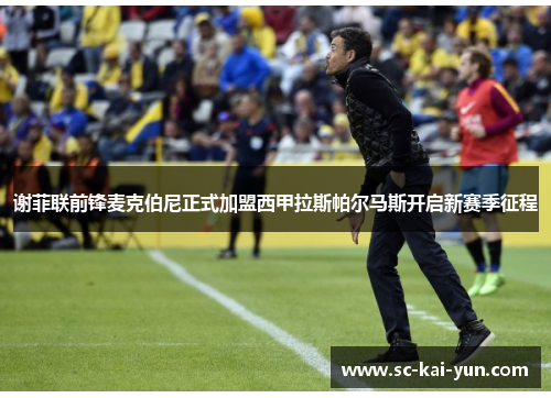 谢菲联前锋麦克伯尼正式加盟西甲拉斯帕尔马斯开启新赛季征程