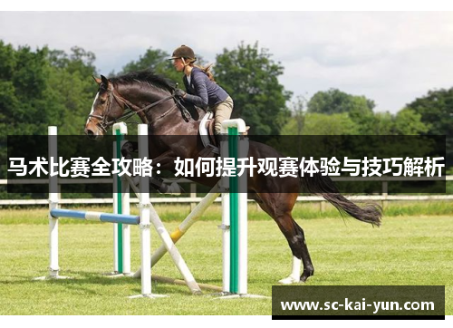 马术比赛全攻略:如何提升观赛体验与技巧解析 马术比赛全攻略:如何提升观赛体验与技巧解析